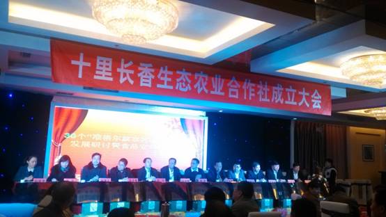 走過十里長川，拉開“十里長香”品牌的序幕