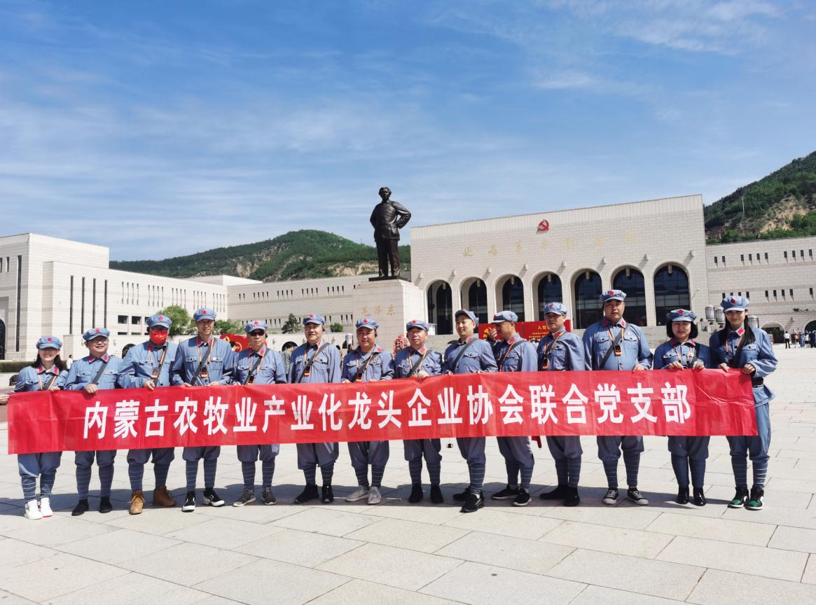 內(nèi)蒙古農(nóng)牧業(yè)產(chǎn)業(yè)化龍頭企業(yè)協(xié)會聯(lián)合黨支部赴延安革命圣地開展“學(xué)黨史、感黨恩、跟黨走”主題黨日活動