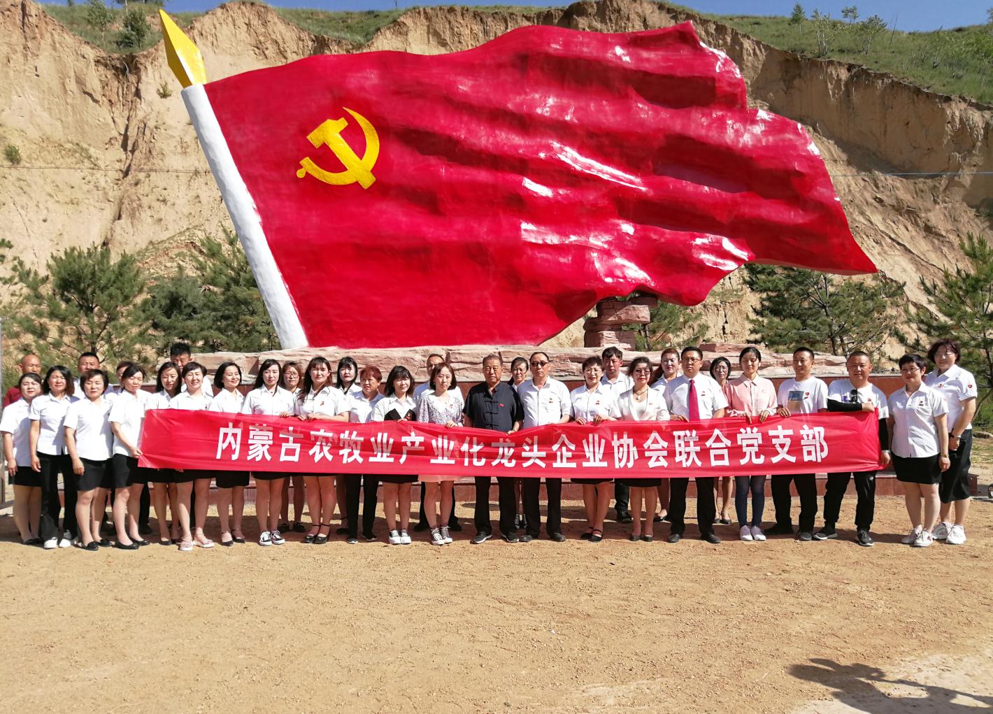 內(nèi)蒙古農(nóng)牧業(yè)產(chǎn)業(yè)化龍頭企業(yè)協(xié)會走進(jìn)石人灣村開展“辦實(shí)事、解難題，送溫暖，傳黨恩”公益活動